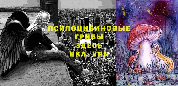 скорость Алексин