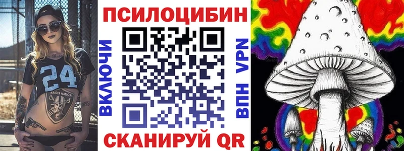 Псилоцибиновые грибы мицелий цена Борзя